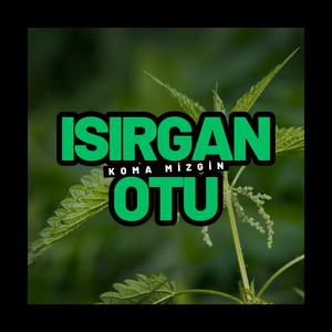 Isırgan Otu (Koma Mizgin)