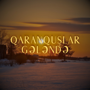 Qaranquşlar Gələndə