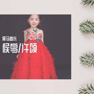 黑马音乐丨许颂 - 候鸟