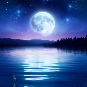 Suaves Ritmos Nocturnos