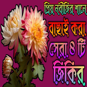 প্রিয় নবীজির শানে বাছাই করা সেরা জিকির