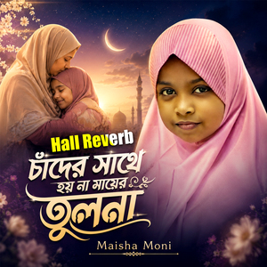 Chader Sathe Hoyna Mayer Tulona (Hall Reverb)