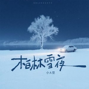 柏林雪夜