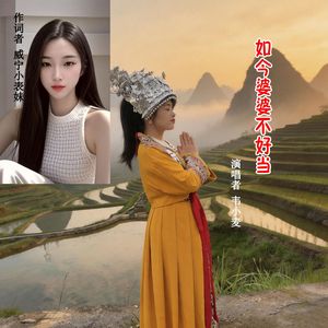 婆婆不好当