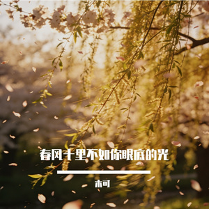 春风十里不如你眼底的光