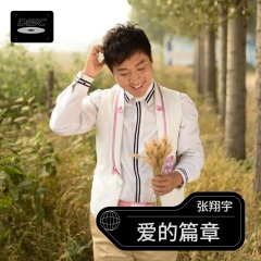 当我在爱你的时候