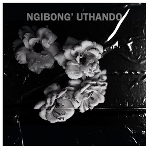 Ngibong' uthando