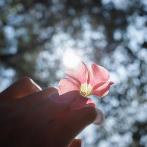 有钱没钱回家过年