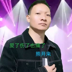爱了伤了也痛了