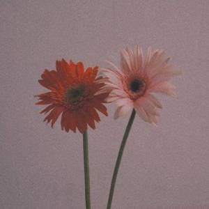 【FREE】‘Nostalgia’-guitar type beat