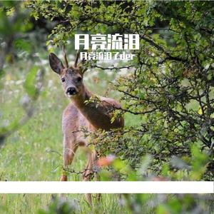 我们再也不见了