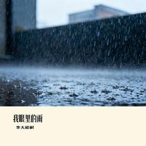 我眼里的雨 (Cover 李林夕)