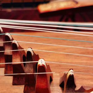 凉凉（Remix古筝版）