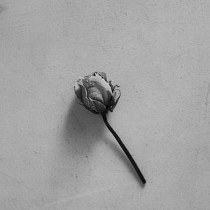 Melodic R&B / Future Soul Beat