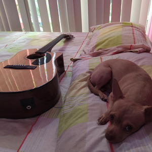 25 de diciembre (acústica)