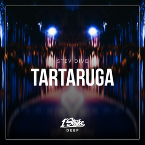 Tartaruga