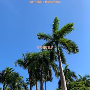 办公室工作爵士