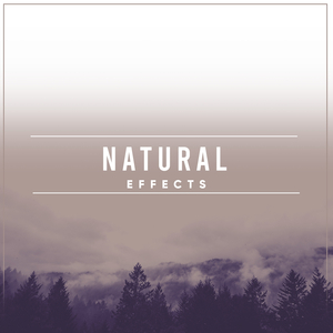 Gentle Waves on Windy Beach