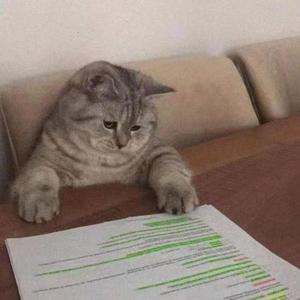 这个世界不会好