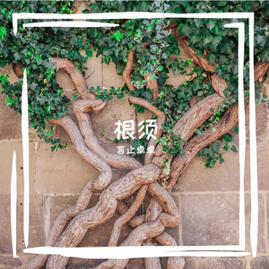 根须