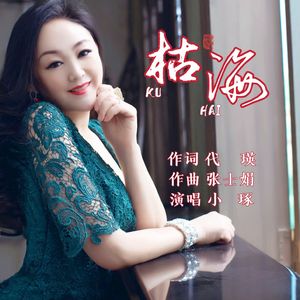 枯海 小琢 伴奏