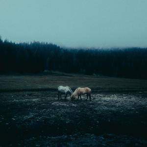 nothing changes if nothing changes.