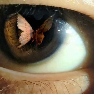 Ambition in thought(思想抱负)