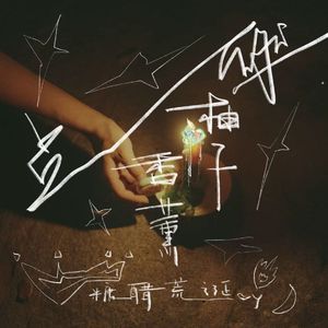 点燃 柚子香薰