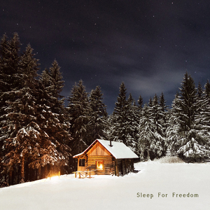 자유를 위한 수면