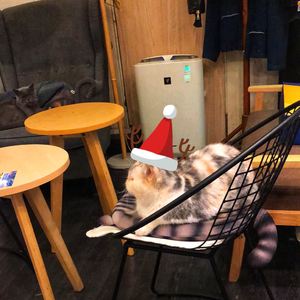 Christmas lights - leon_h (demo)