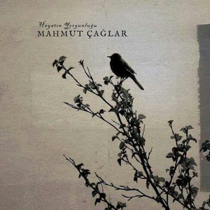 Hayatın Yorgunluğu