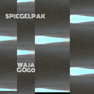 Spiegelpak