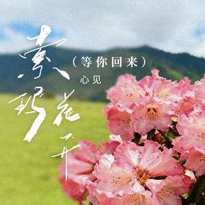 索玛花开(等你回来)