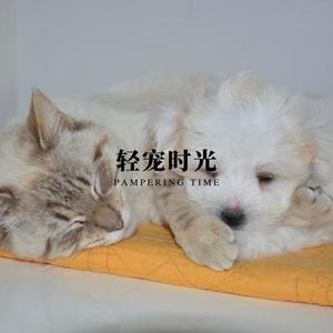 悠宠轻奏 - 精选音乐