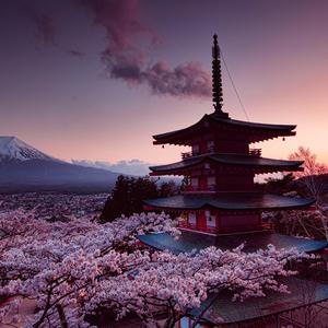 平凡な生活の中で確かに幸いです