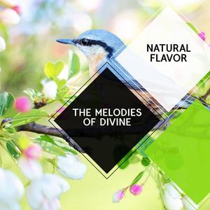 Nocturnal Light Rain