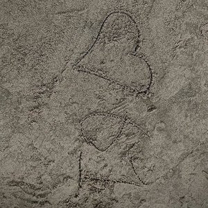 你是我无需开口的回声和因果