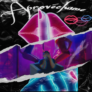 Aprovéchame