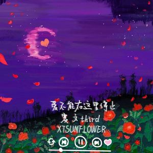 爱不能在这里停止