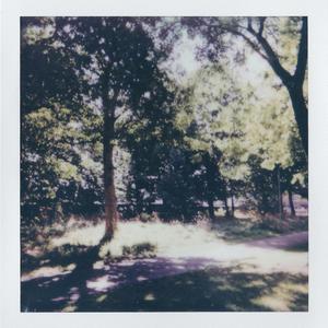 gratus