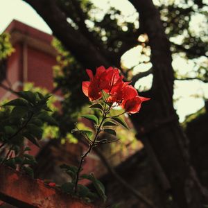 《爱情契约》（ai）