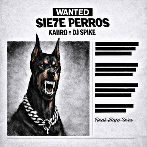 SIE7E PERROS