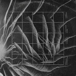 Ideomatic