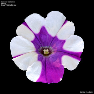 Awilo (Original Mix)