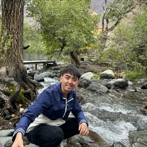 Bu Yarda (在这里)