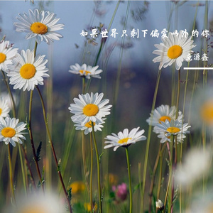 如果世界只剩下偏爱以外的你