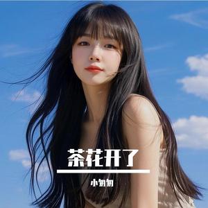 茶花开了（完整女版）