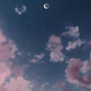 天上的星星不说话