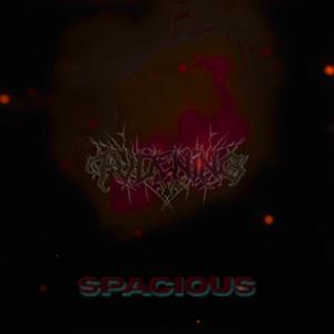 SPACIOUS