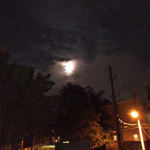 MyHeartNeedsTobeTended (Radio Edit)